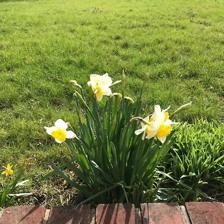 Apres La Pluie 3* Campigneulles-les-Petites
